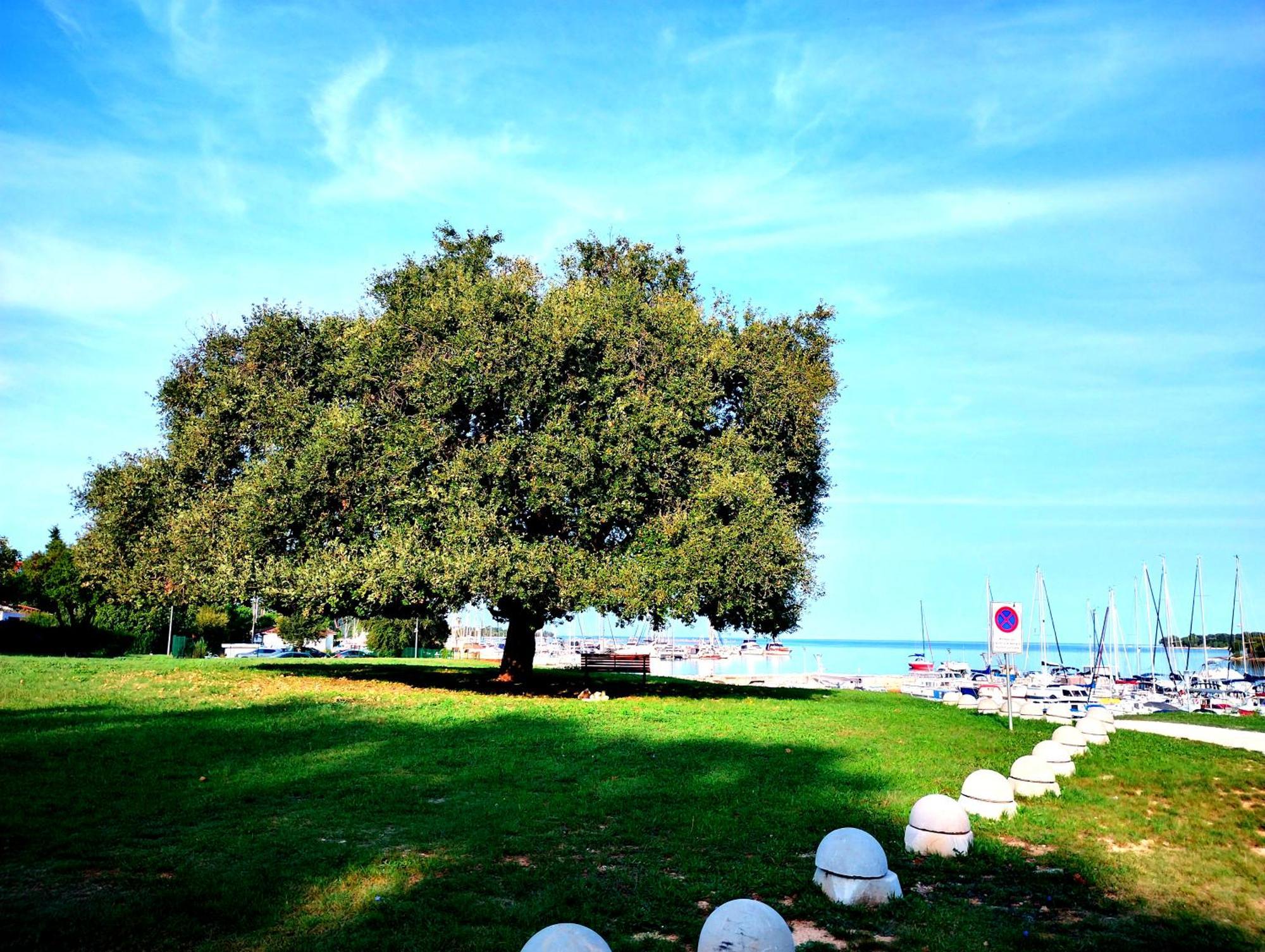 Premium Apartment Eden Porec Bagian luar foto